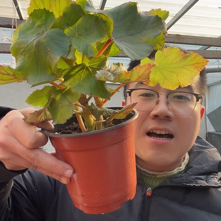 迟***娟完全开放瑕疵橙色➕保温