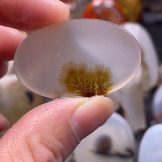 玛瑙/玉髓吊坠(不含链)未镶嵌