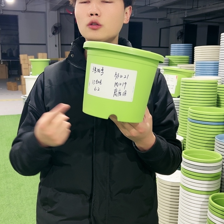 特价3号口21高18果绿色10只无托