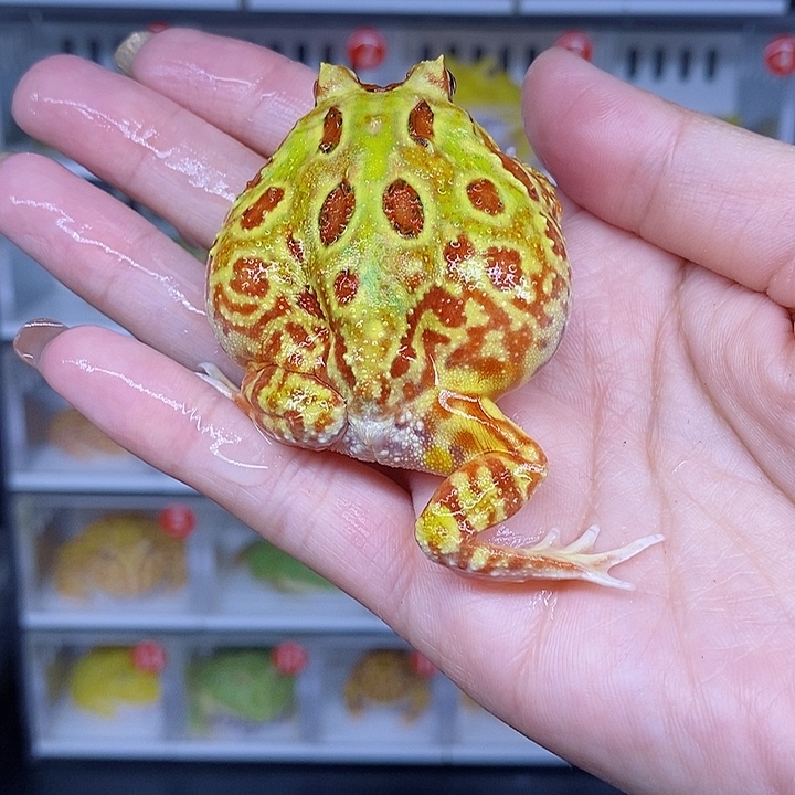 特价秒杀现货特价