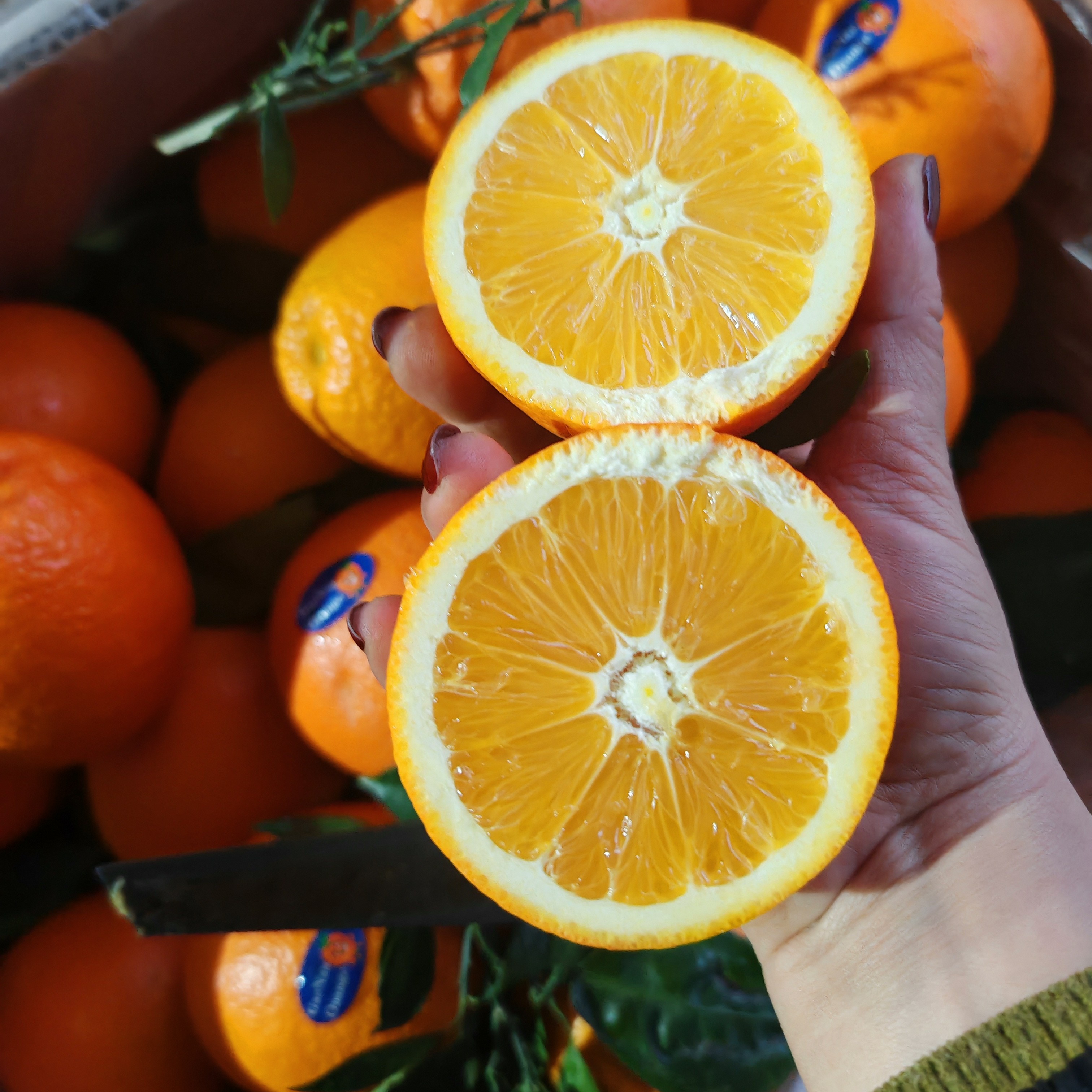 江西赣南甜橙～8斤