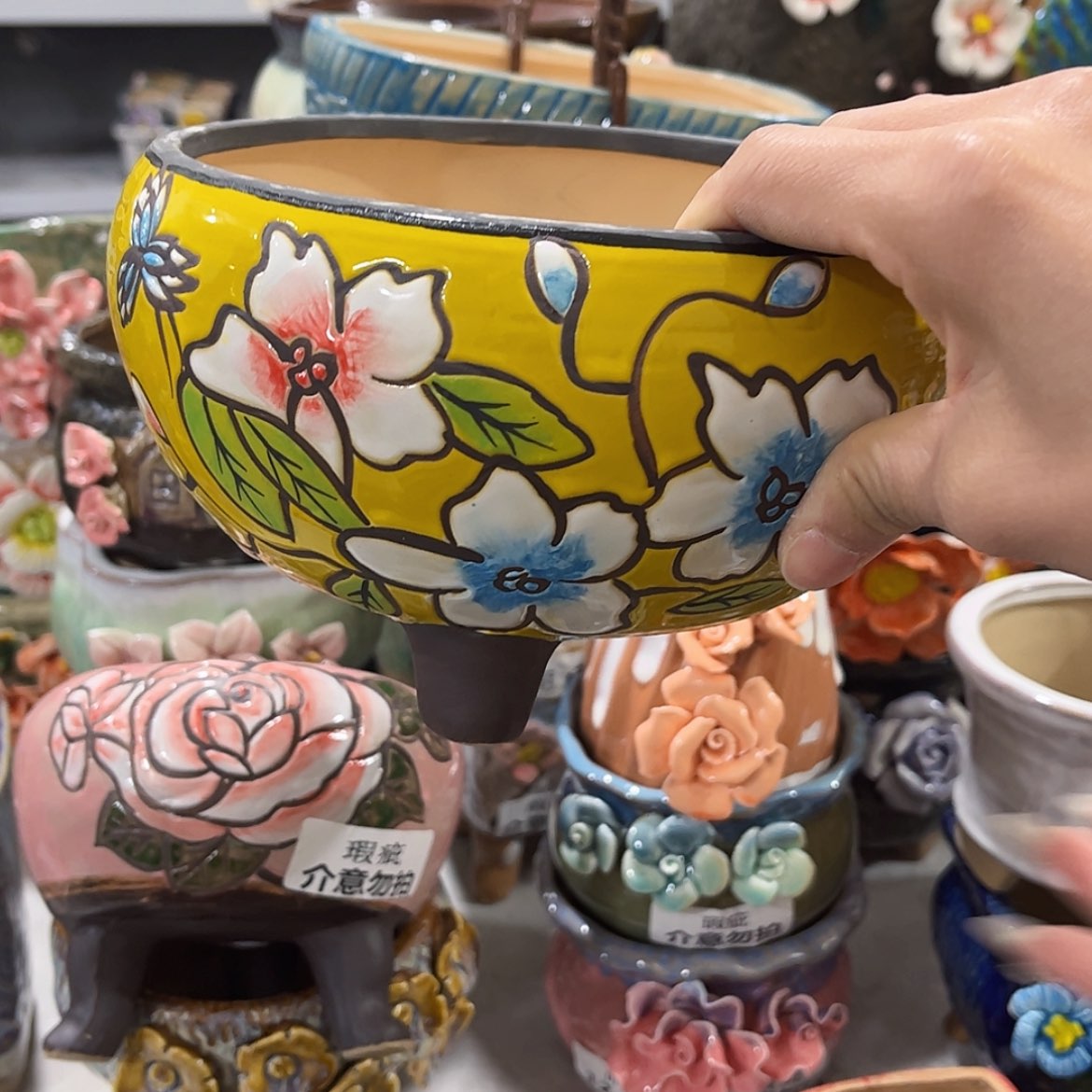 【闪购商品】红陶福利