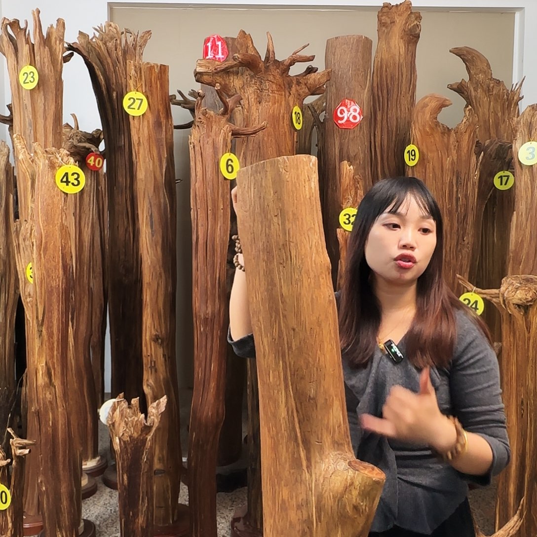 雄***鹰沉香碎屑沉香天然沉香原材料香料熏料