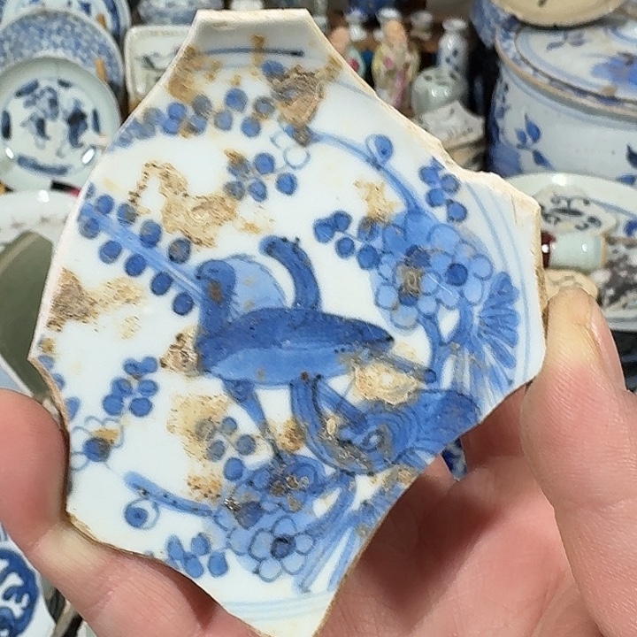 瓷片瓷片标本顺丰包邮