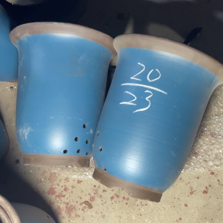 自作自受周三周四再说 