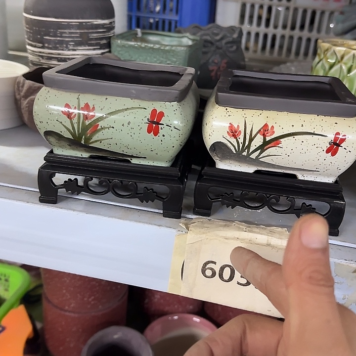 ··2盆++2个塑料托盘··