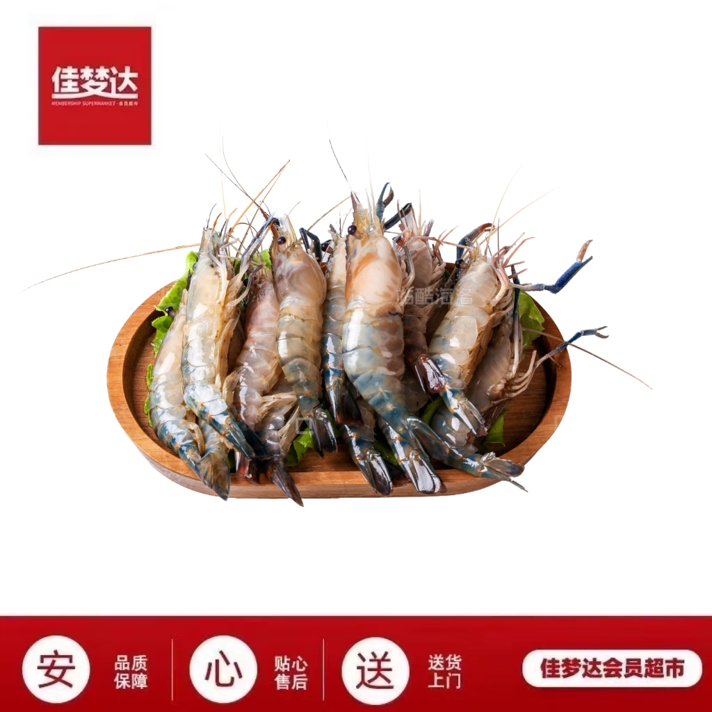 黑虎虾500g起 （保鲜不包活运输过程可能出现断氧介意慎拍大虾同城送）