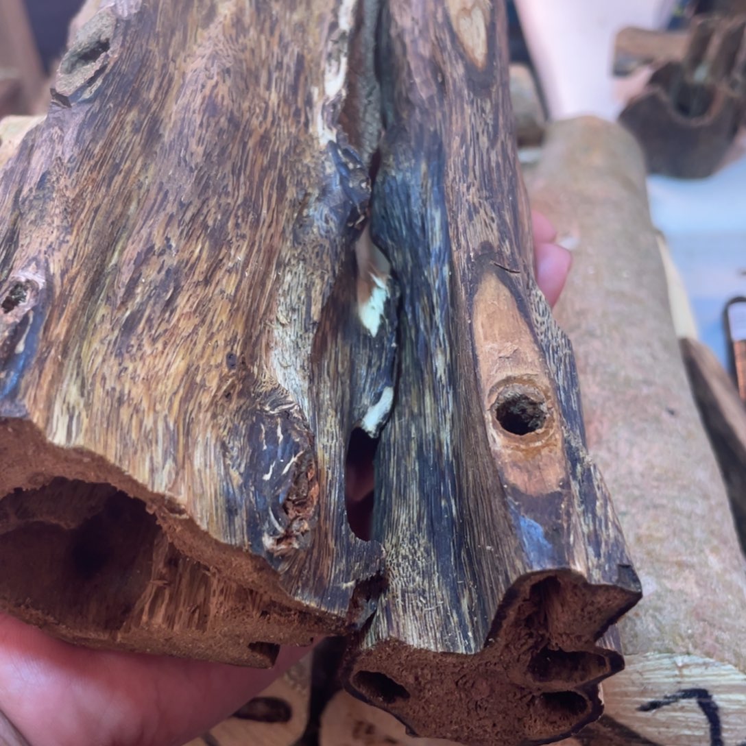 奇楠沉香抛光虫漏