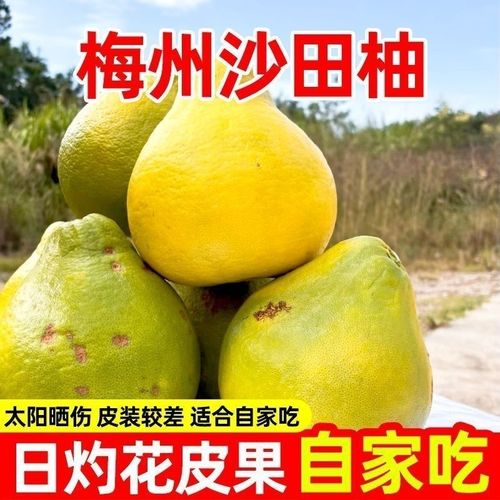  【花皮/小果50斤】梅州沙田柚纯甜无酸老果树当季新鲜水果产地直发
