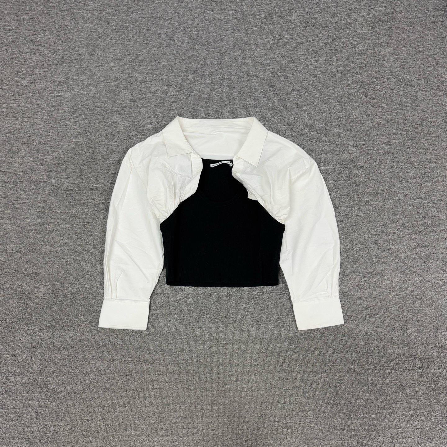 99新 AMIPARIS Alexander wang 亚历山大王 假两件