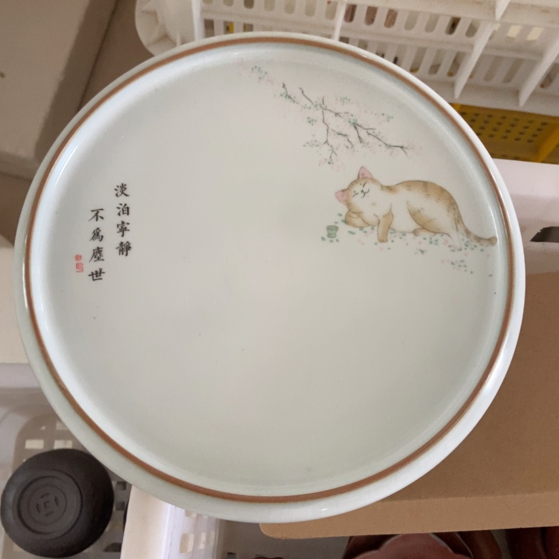 杯直播链接直播链接