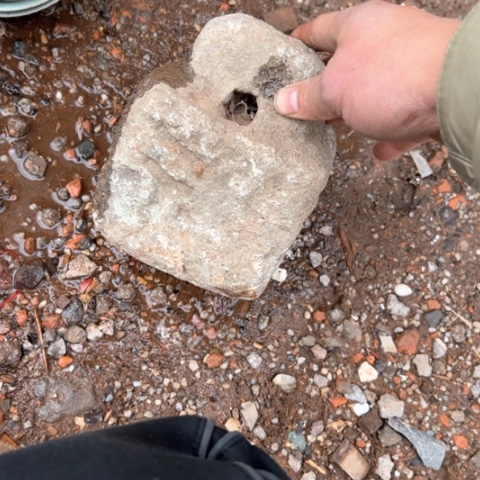 杂色豆（科檀/科特迪瓦檀木）贤*