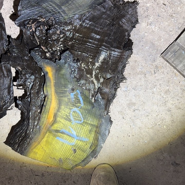 用***1金丝楠金丝楠阴沉木