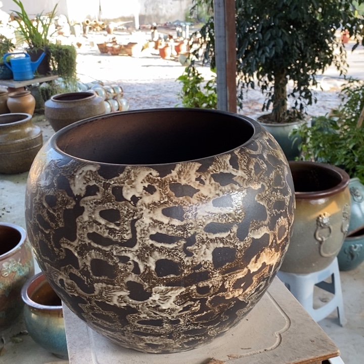 口24高26～～～～～～～～