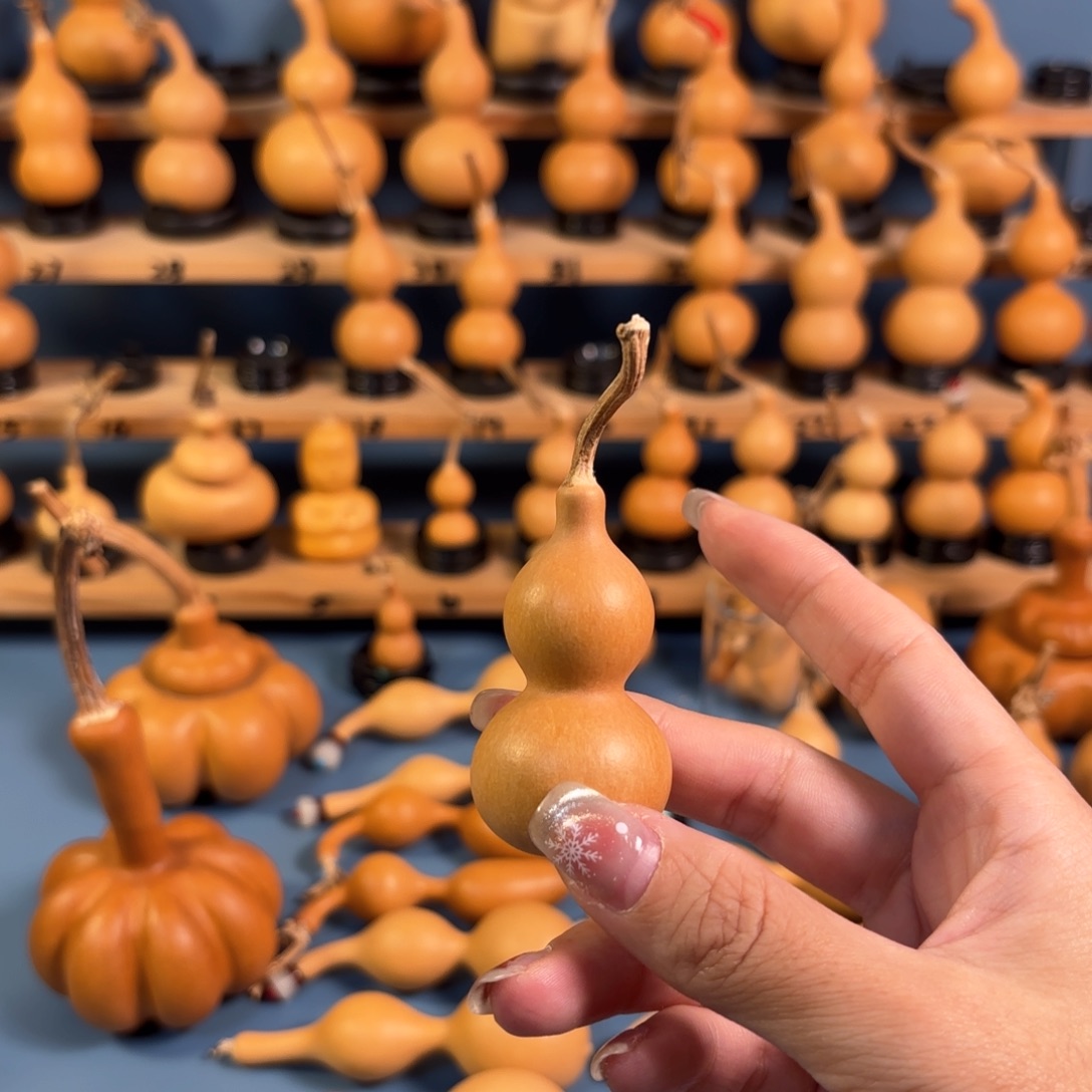 鹏***.木木木木木木木木木木木木木木木木