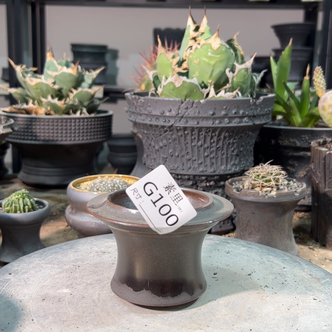 景德镇手工素里内口7.5高7