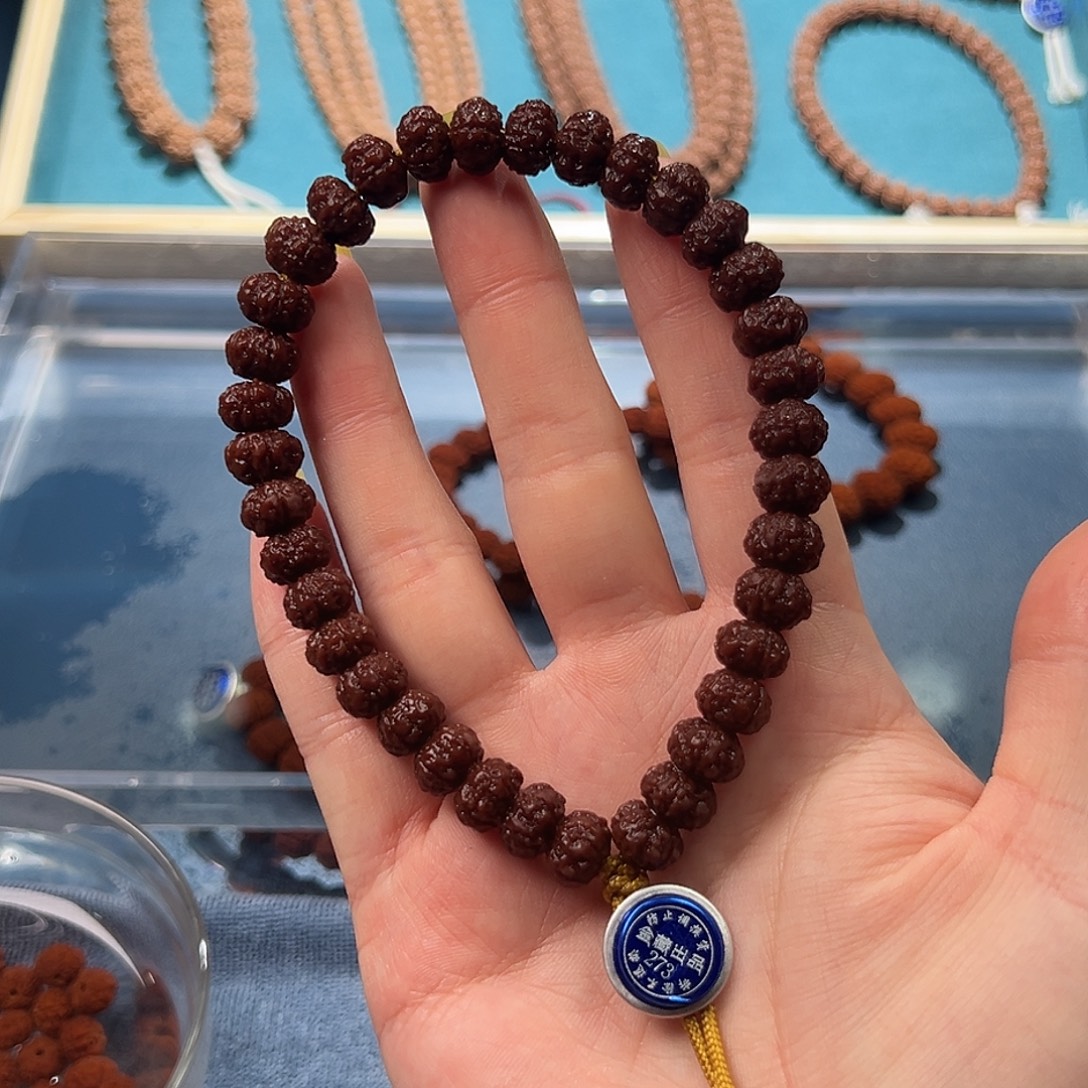 金刚菩提手串9mm老树王手串273