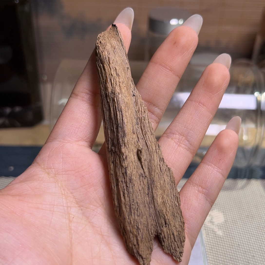 香料海南树心土埋6.2克开播福利