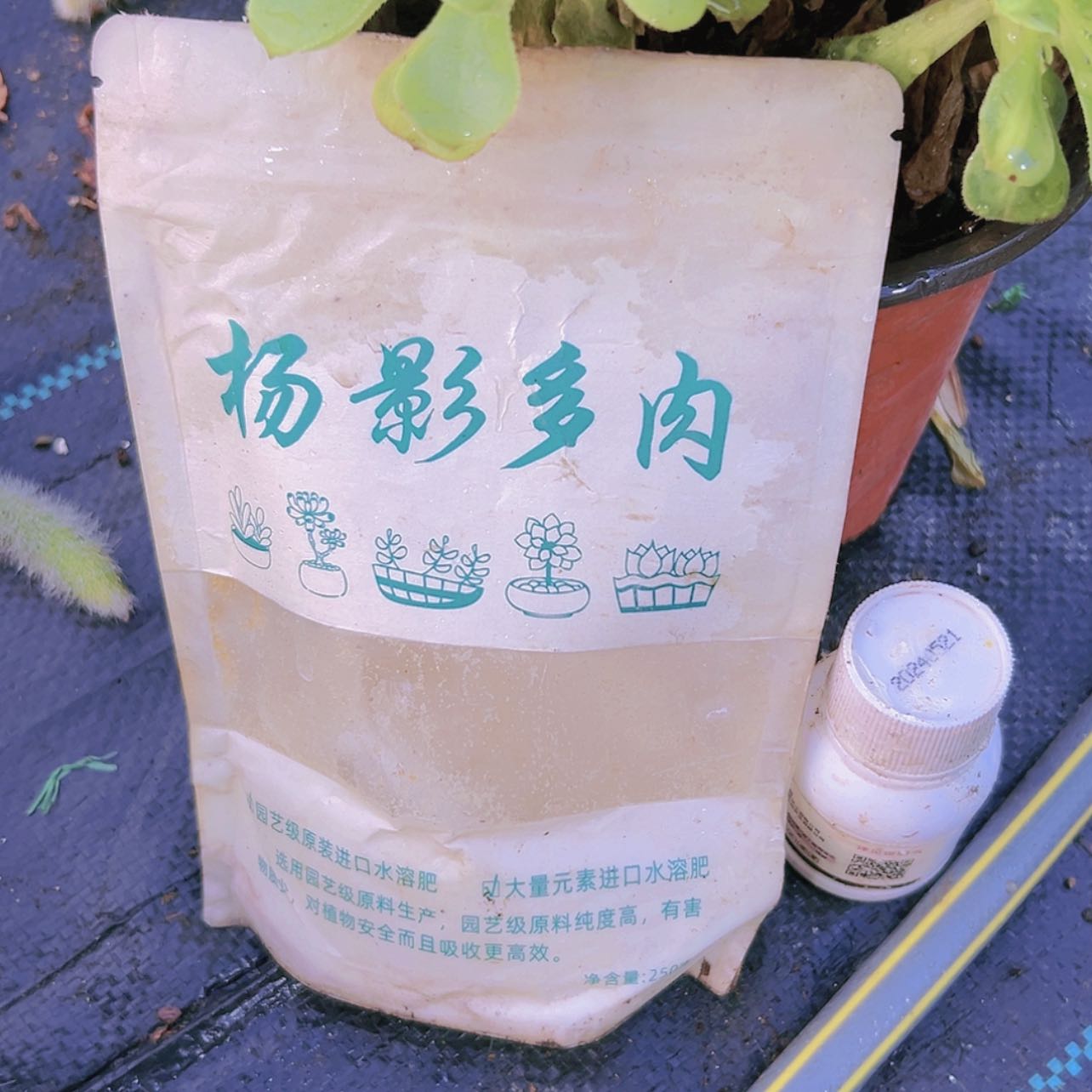 【闪购商品】营养水溶分加杀菌