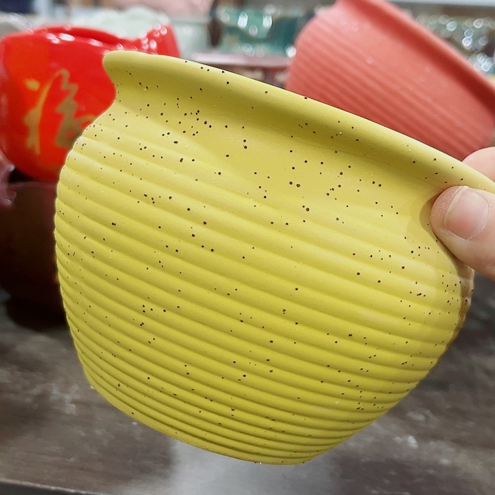 多肉花盆满10元包邮