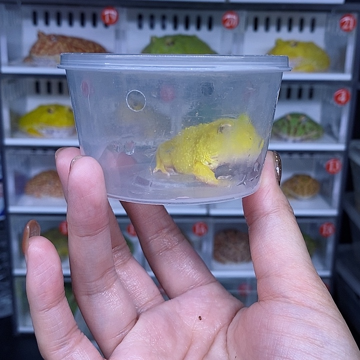 特价秒杀特价原价