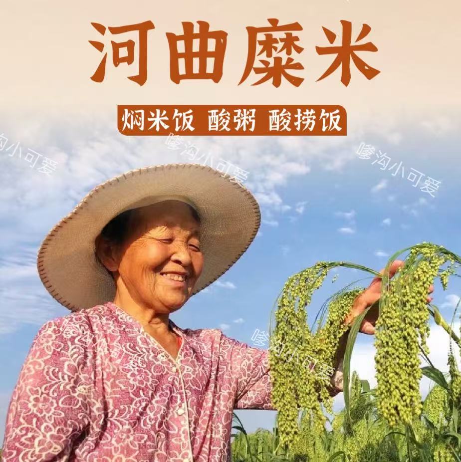 河曲农家自产硬地糜米2.5kg