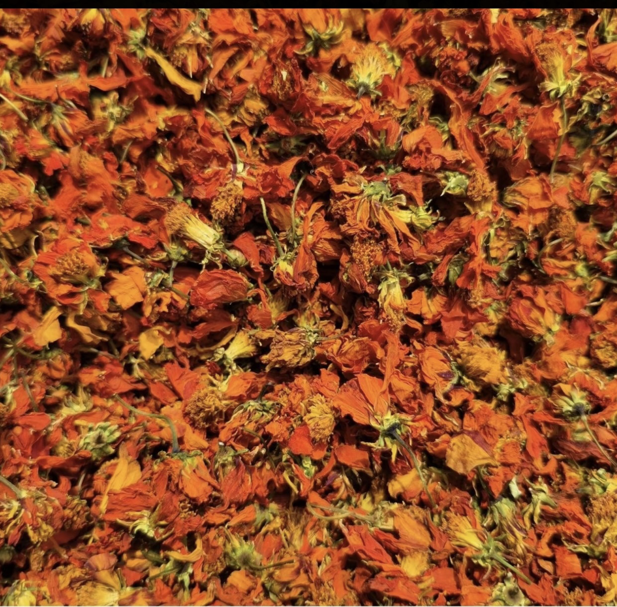 昆仑九别峰冰菊 益身百搭茶-