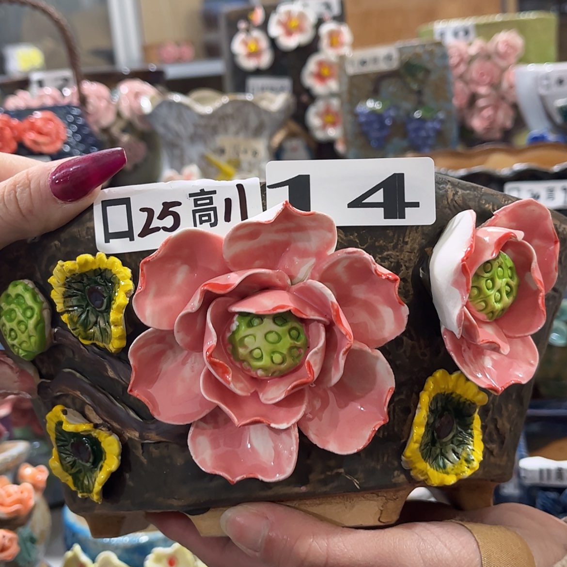 【闪购商品】红陶福利