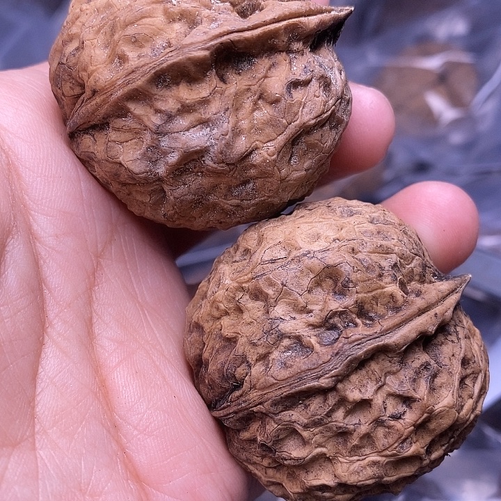 文玩核桃把件  84