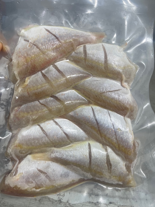 本港新鲜红衫鱼淡口