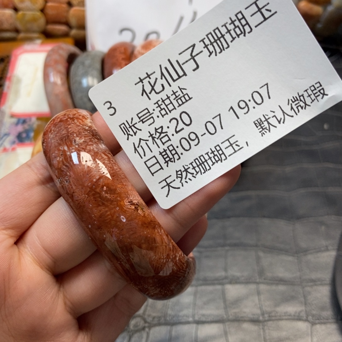甜***盐未镶嵌硅化珊瑚（珊瑚玉）珠宝半成品3