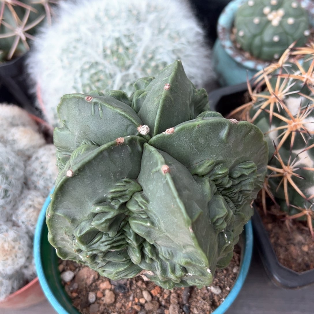 旭***f     啦啦啦啦啦啦啦啦啦啦