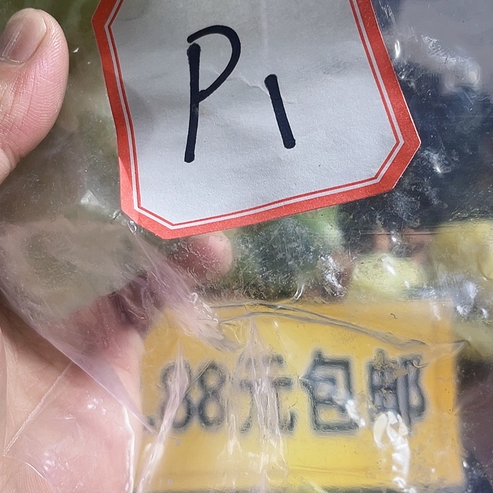 蛇纹石玉未镶嵌纯天然岫玉