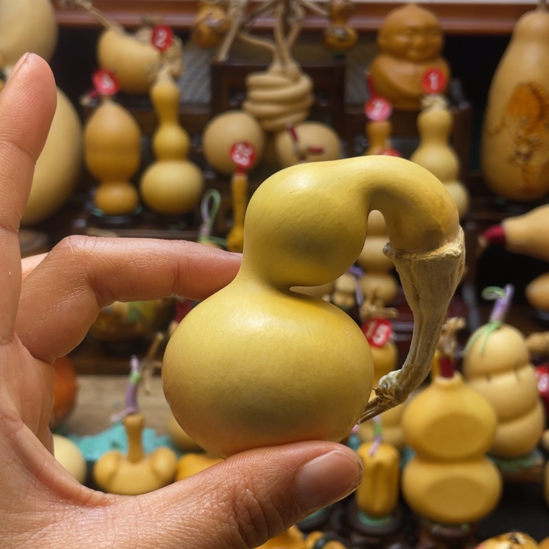 上*葫芦等经济作物的栽培技术研究和推广
