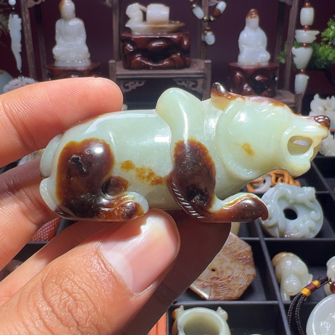 缸一物一图 所见所得
