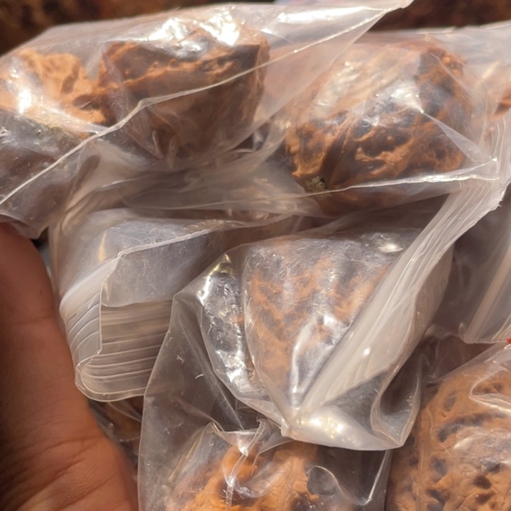 桃核把件九哥楸核19