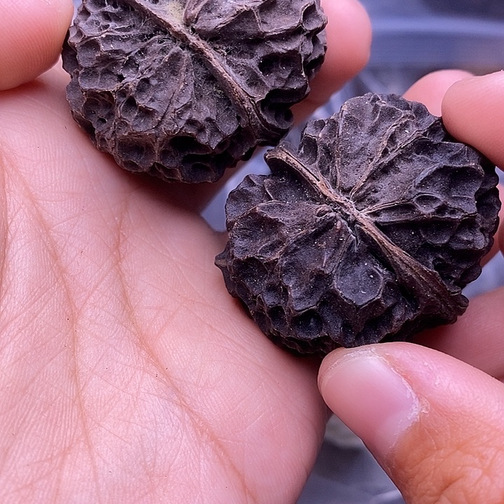 文玩核桃把件   48