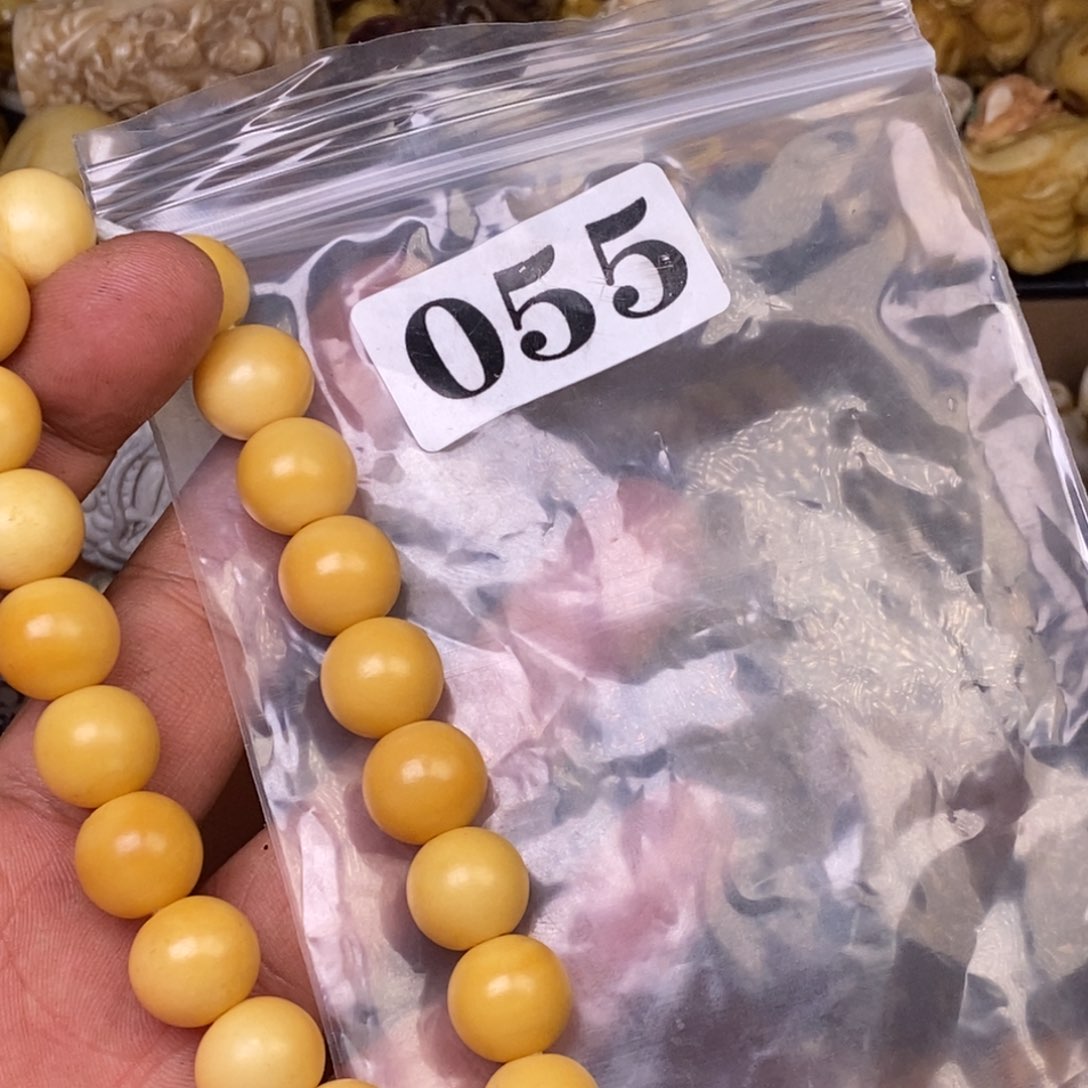 其他驼骨人工样子