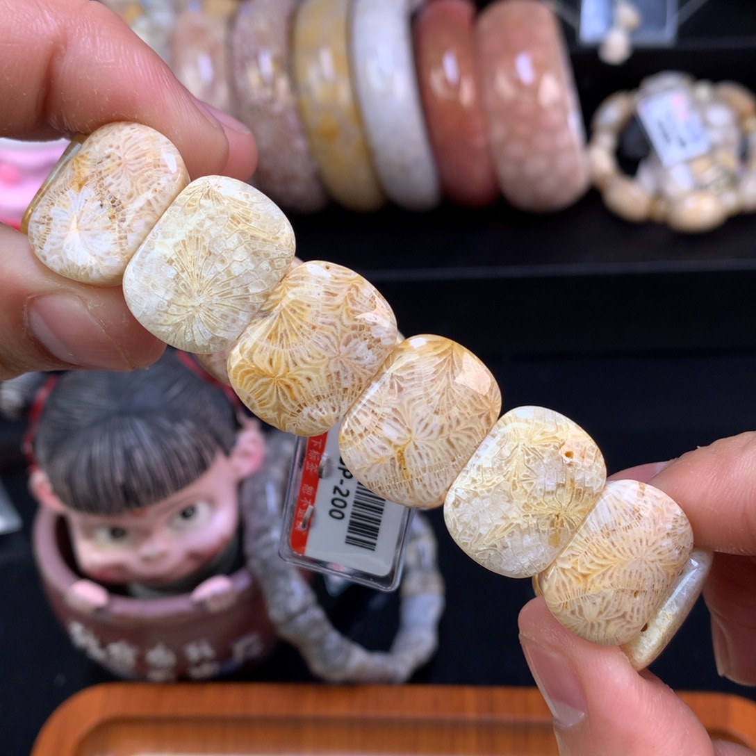 硅化珊瑚（珊瑚玉）未镶嵌颈饰26号金丝凤尾