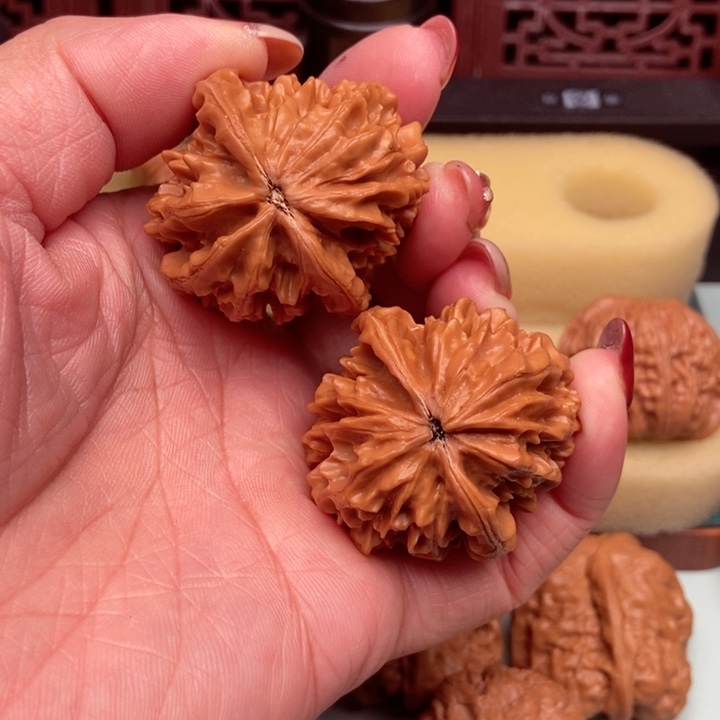 凡***人招财鼠39已打底1111