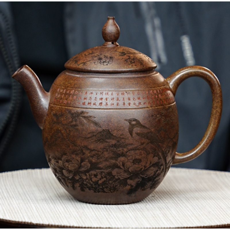 高艳虎皮金砂雀上枝头龙蛋