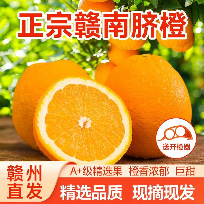 产地直发赣南脐橙寻乌新鲜现摘应季水果皮薄肉嫩多汁橙香味十足