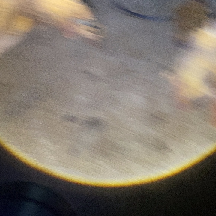 一***过其他楠木（金丝楠）