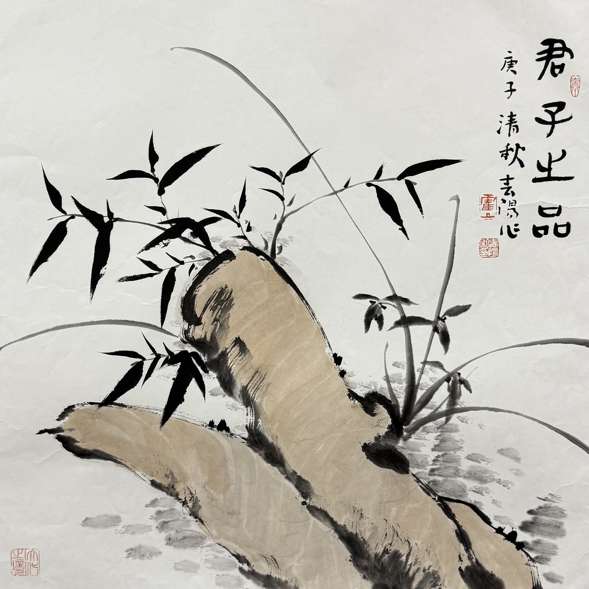 【花鸟】 68x68  CP-40135  画片