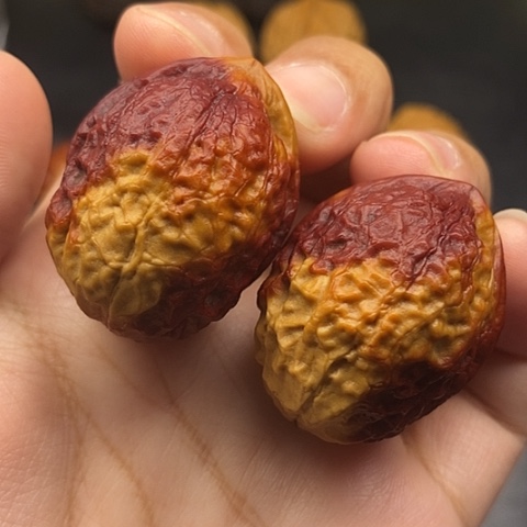 文玩核桃把件36尺蟒纹龙蛋 