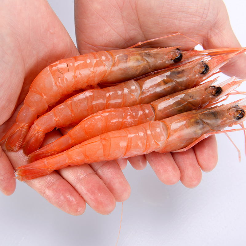 东海野生红虾海虾深海捕捞新鲜船冻红绿头虾中号