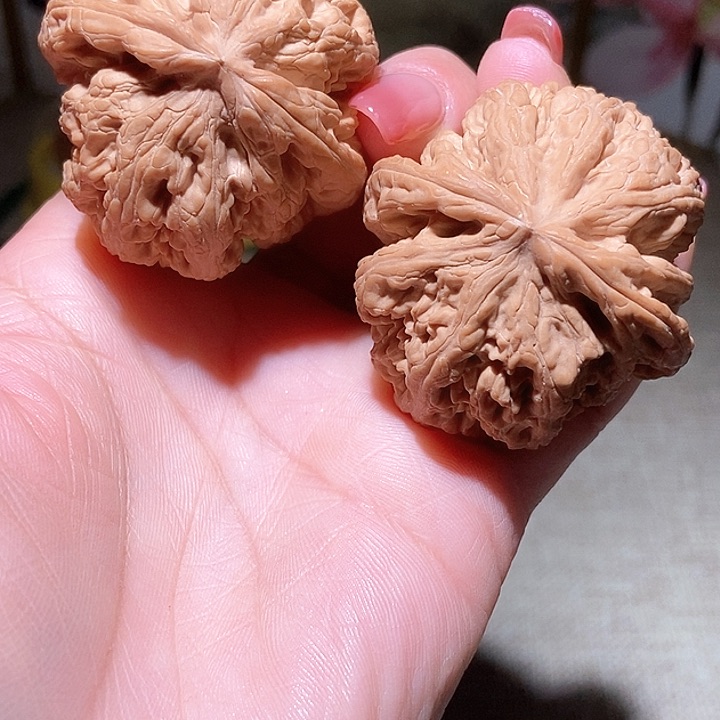 45尺寸大粗筋！好运连连