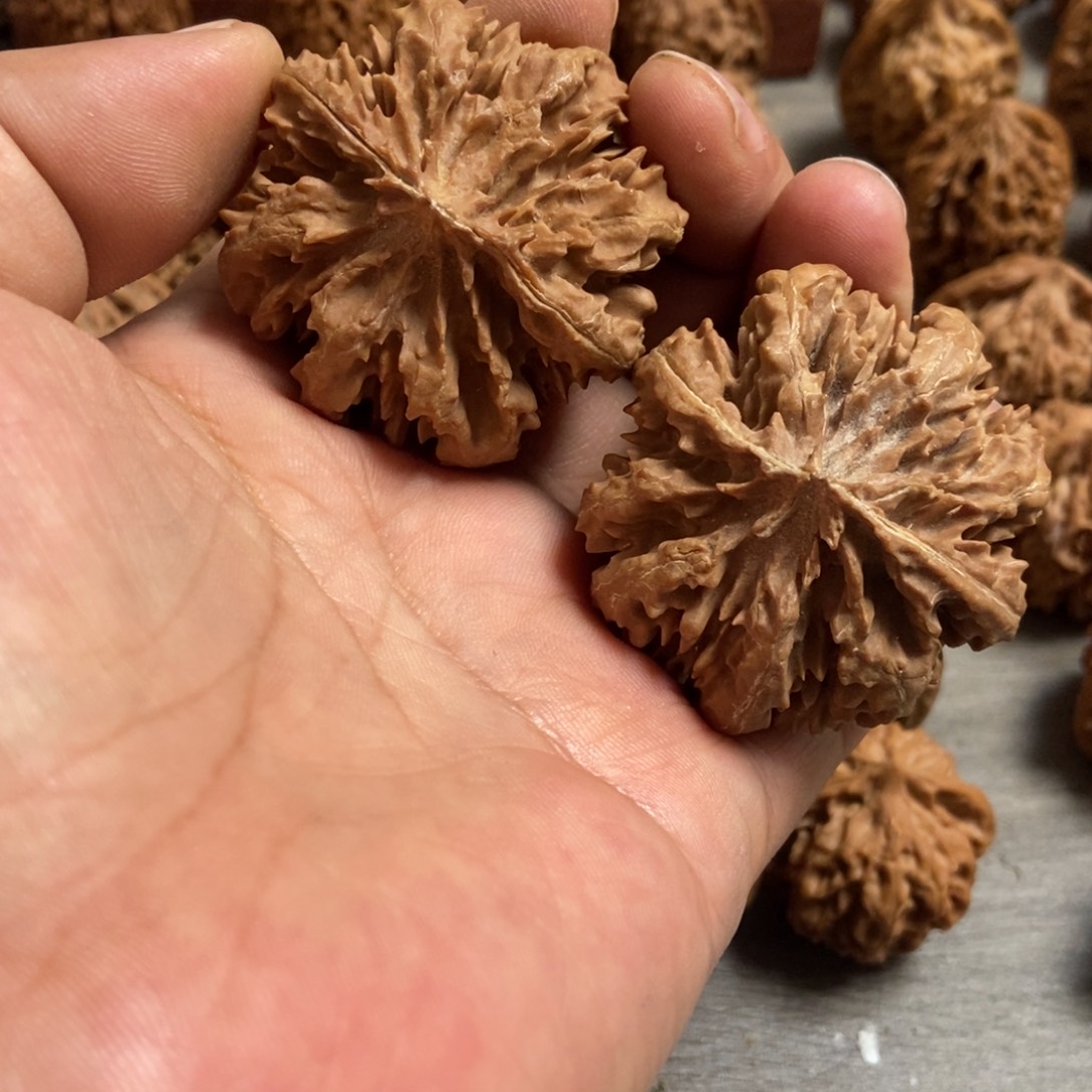 文玩核桃吊坠霸王花45尺