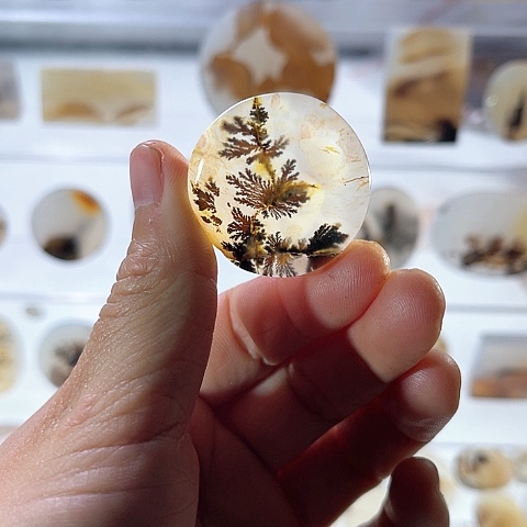 【闪购商品】玛瑙/玉髓珠宝半成品未镶嵌