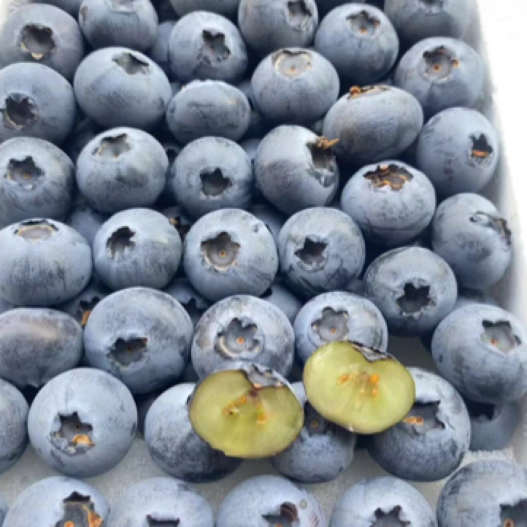 水果皇后-丹东花香蓝莓18-20+mm，0.8斤净果一盒装